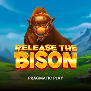 Release the Bison screenshot